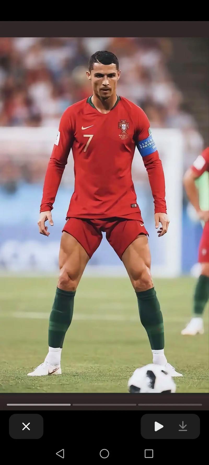 图片报：法比奥-席尔瓦渴望参加世界杯，正推动冬窗离开多特（图片报：为圆世界杯梦想，法比奥-席尔瓦希望冬窗离开多特）